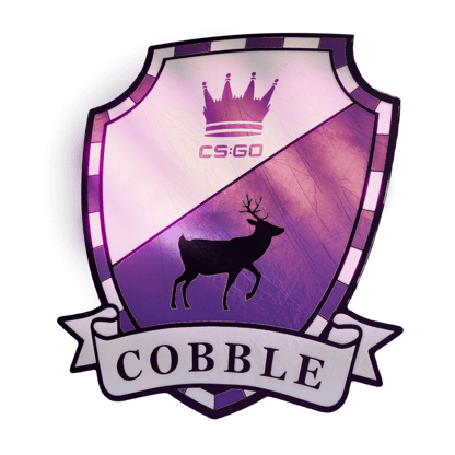 Cobblestone Case - CS2 | CS:GO Case Opening, Cool Skins | Skin.Club