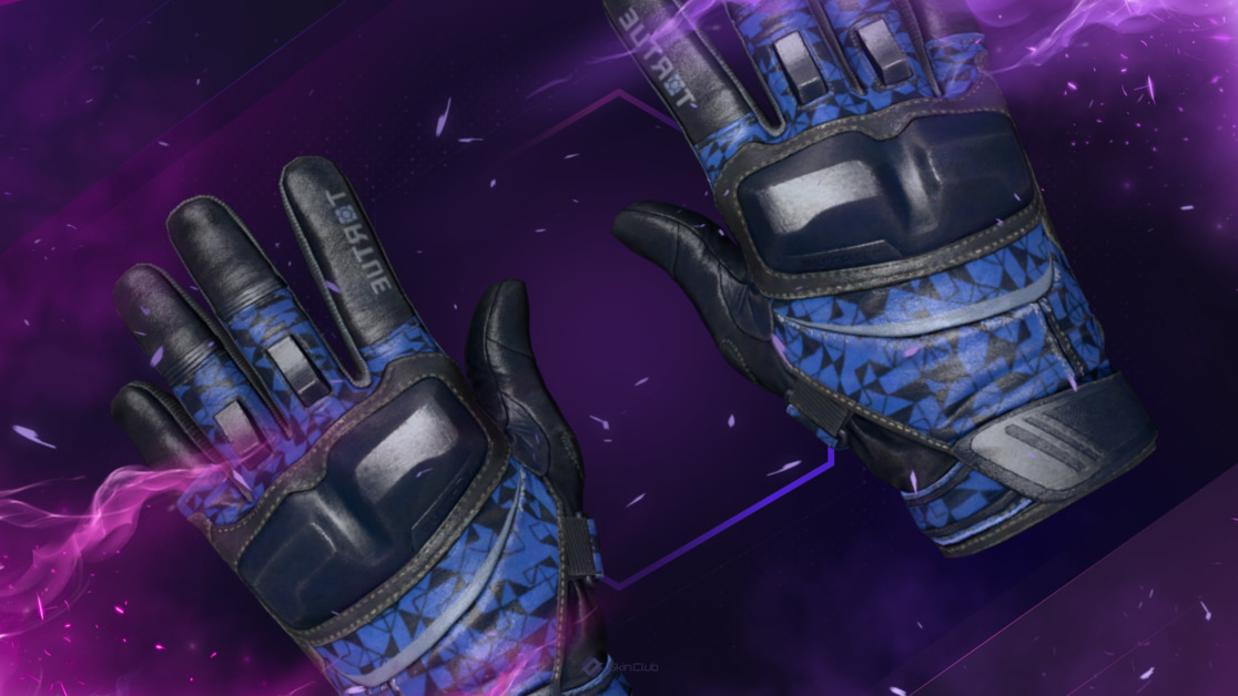 ★ Moto Gloves | Polygon (Field-Tested)