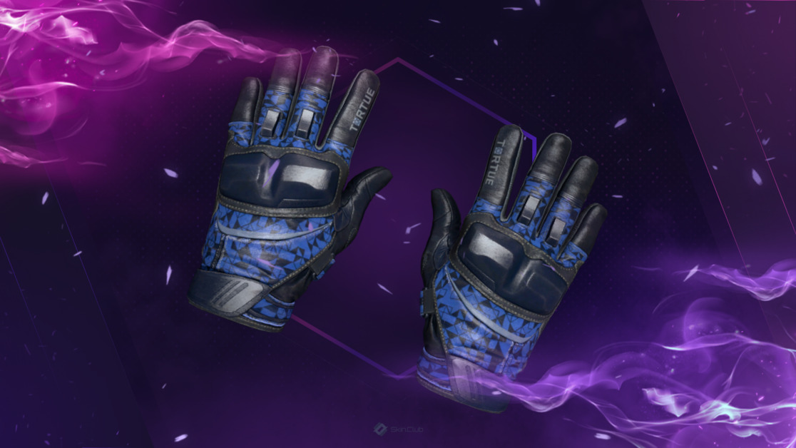 ★ Moto Gloves | Polygon (Field-Tested)