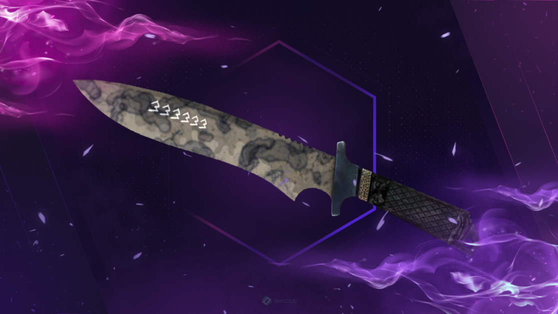 ★ StatTrak™ Classic Knife | Stained (Factory New)