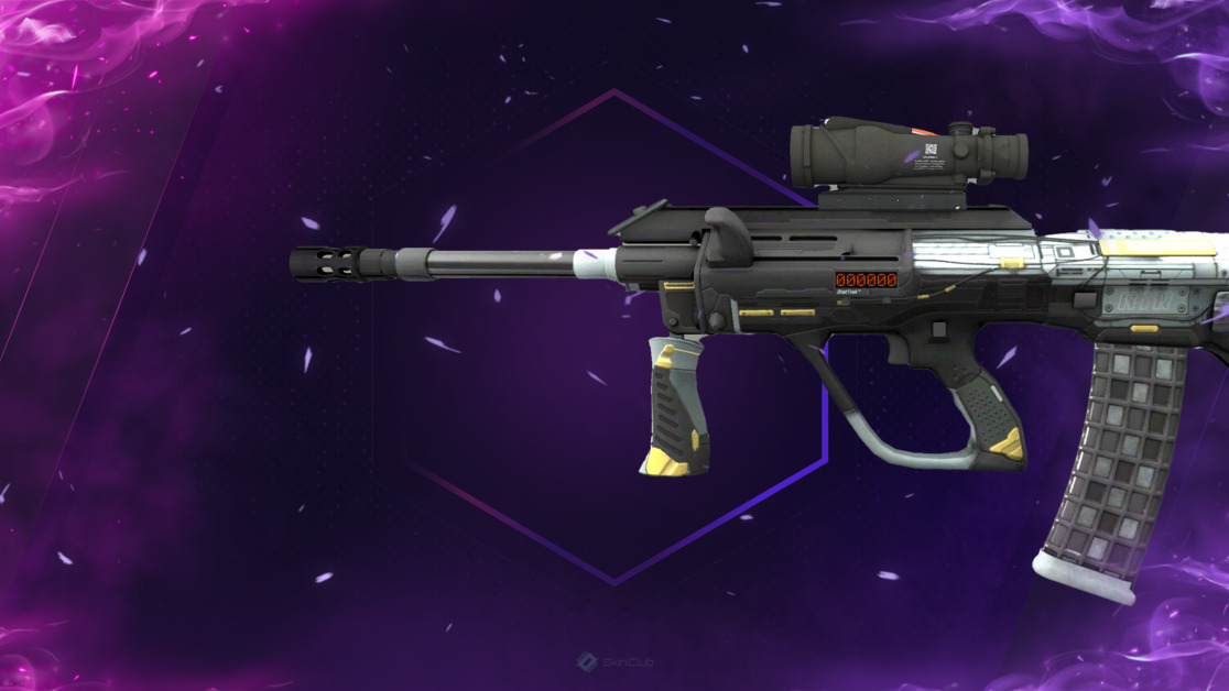StatTrak™ AUG | Tom Cat (Minimal Wear)