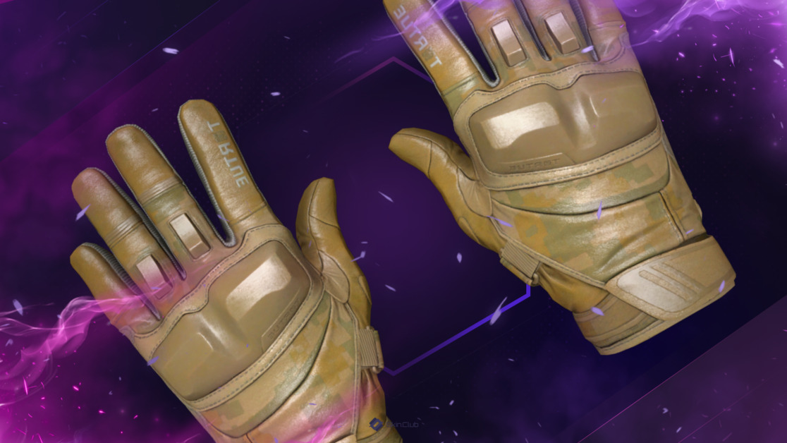 ★ Moto Gloves | Transport (Factory New)