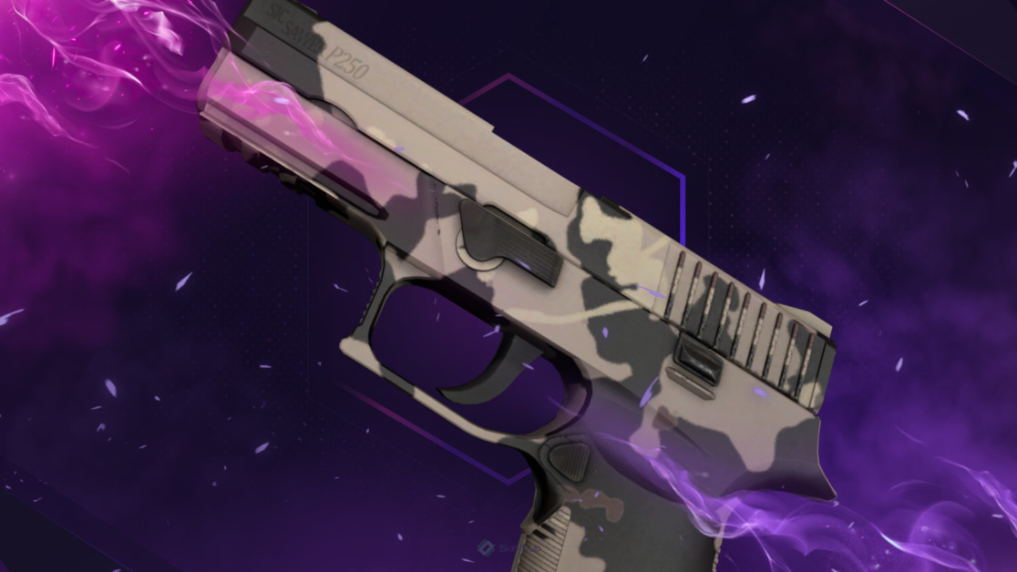 P250 | Black & Tan (Factory New)