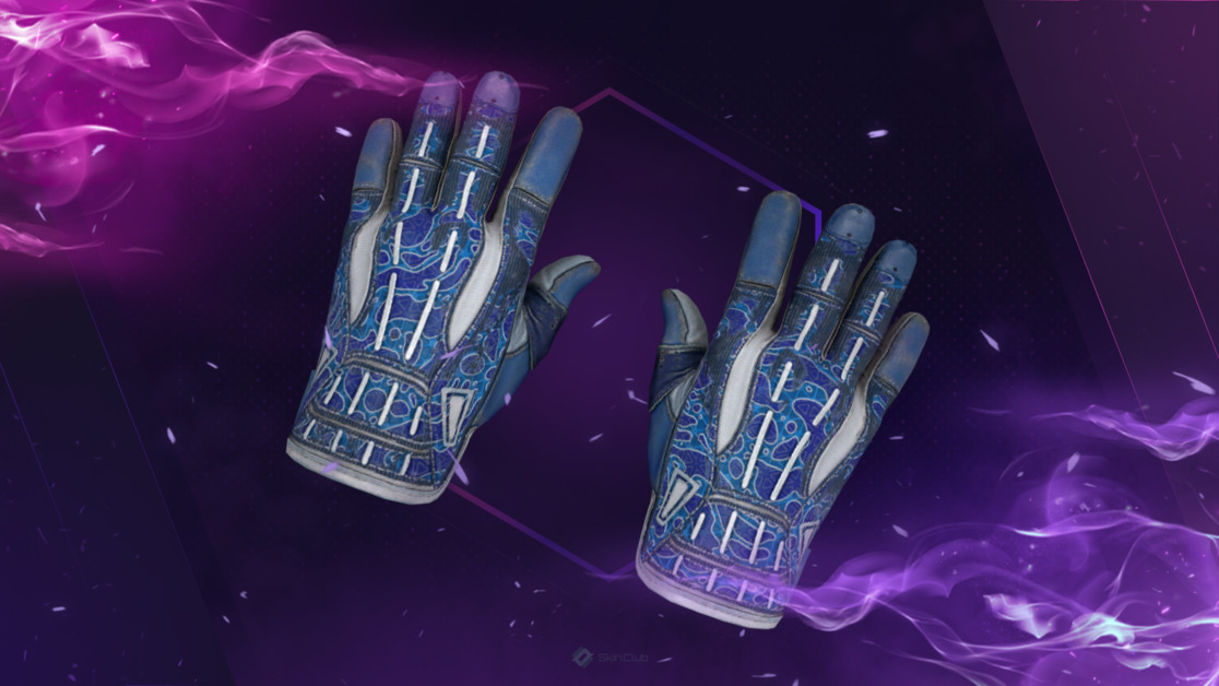 ★ Sport Gloves | Amphibious (Well-Worn)