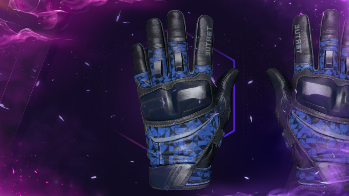 ★ Moto Gloves | Polygon (Field-Tested)