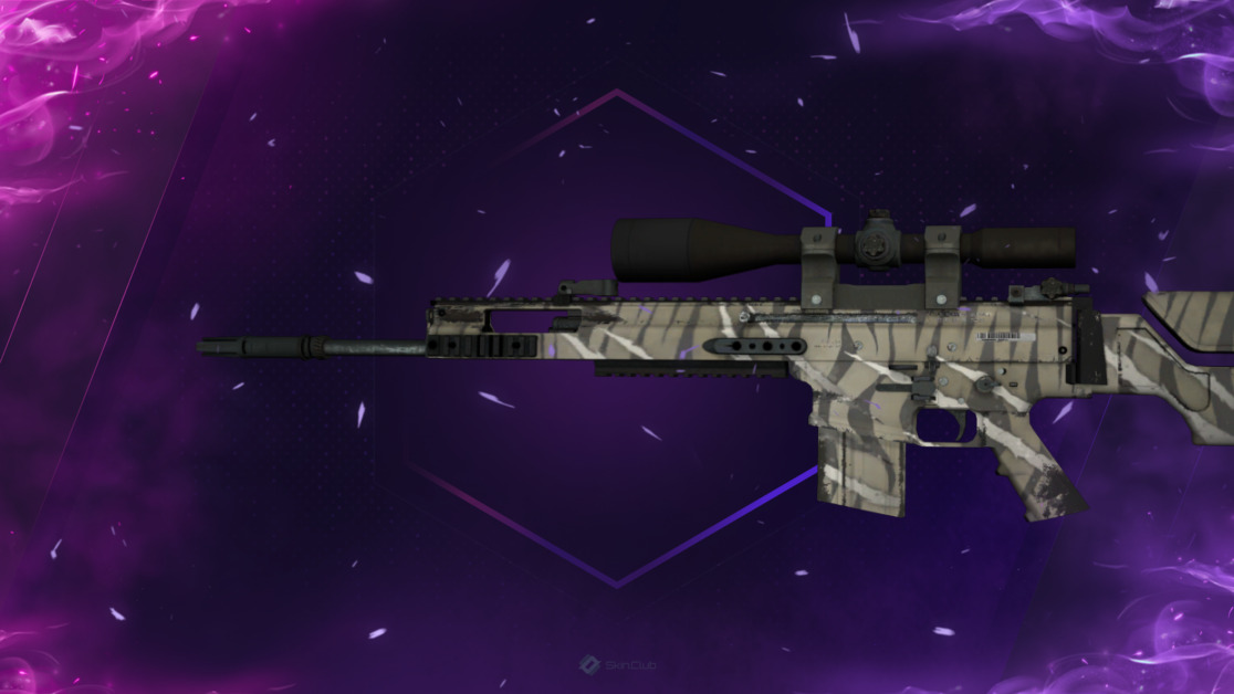SCAR-20 | Torn (Minimal Wear)