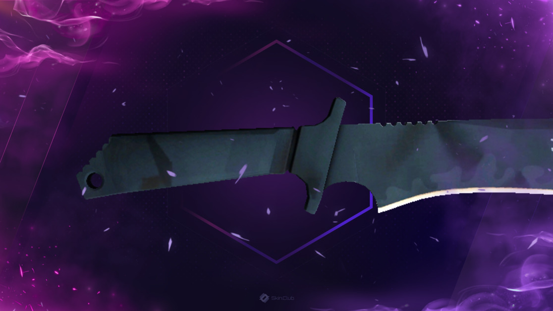 ★ StatTrak™ Classic Knife | Night Stripe (Factory New)