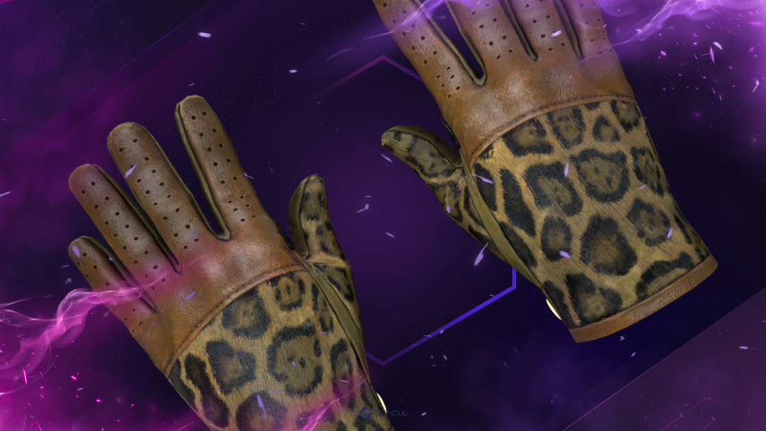 ★ Driver Gloves | Queen Jaguar (Field-Tested)