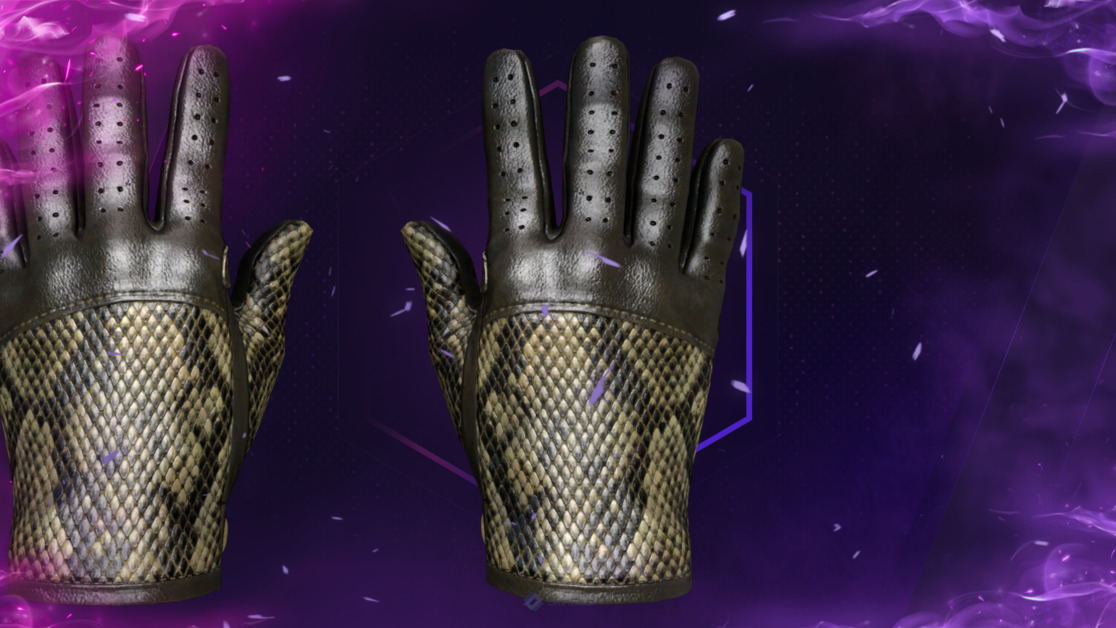 ★ Driver Gloves | Diamondback (Factory New)