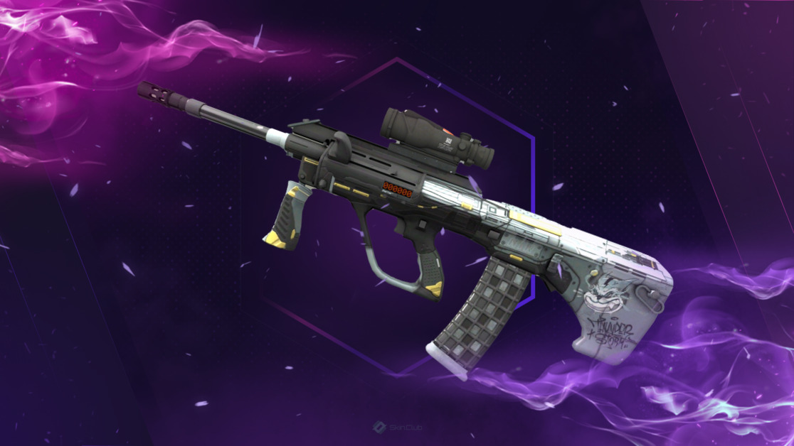 StatTrak™ AUG | Tom Cat (Minimal Wear)