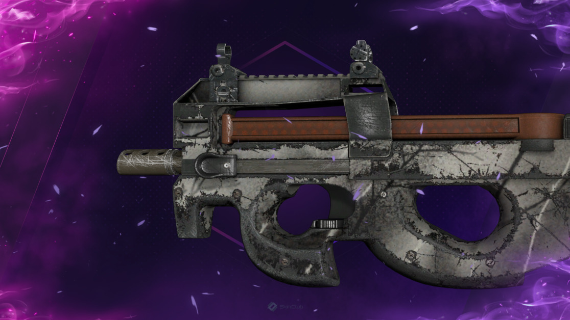 P90 | Ash Wood (Well-Worn)