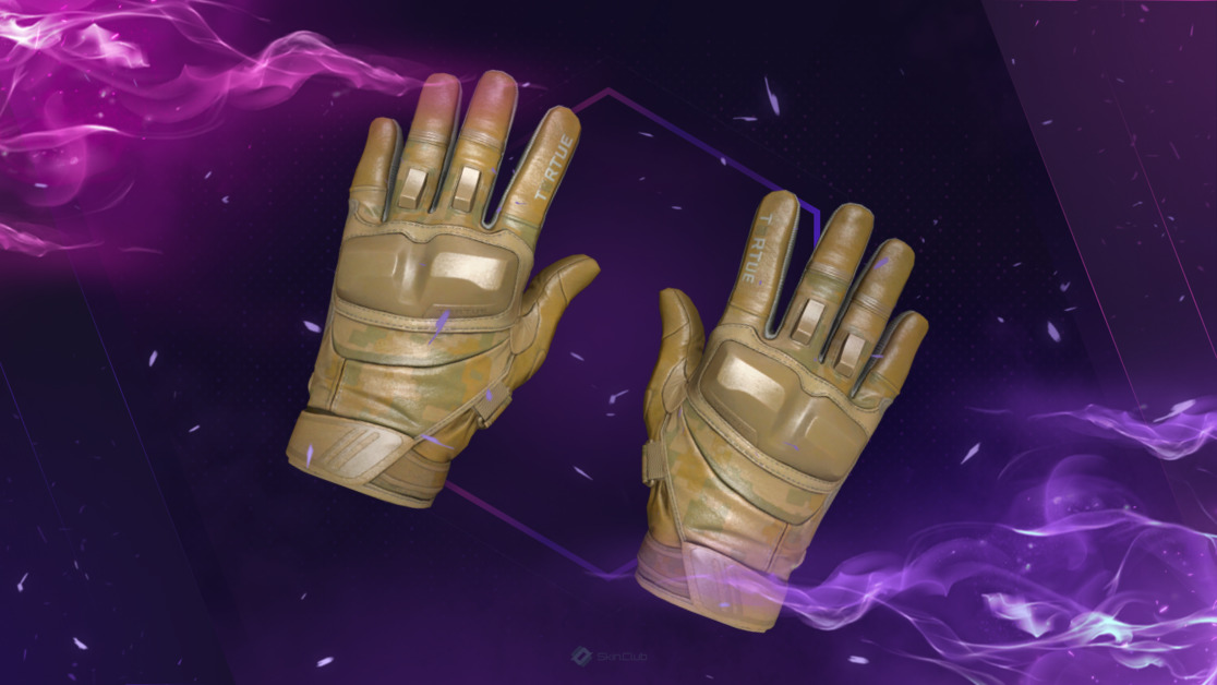 ★ Moto Gloves | Transport (Factory New)