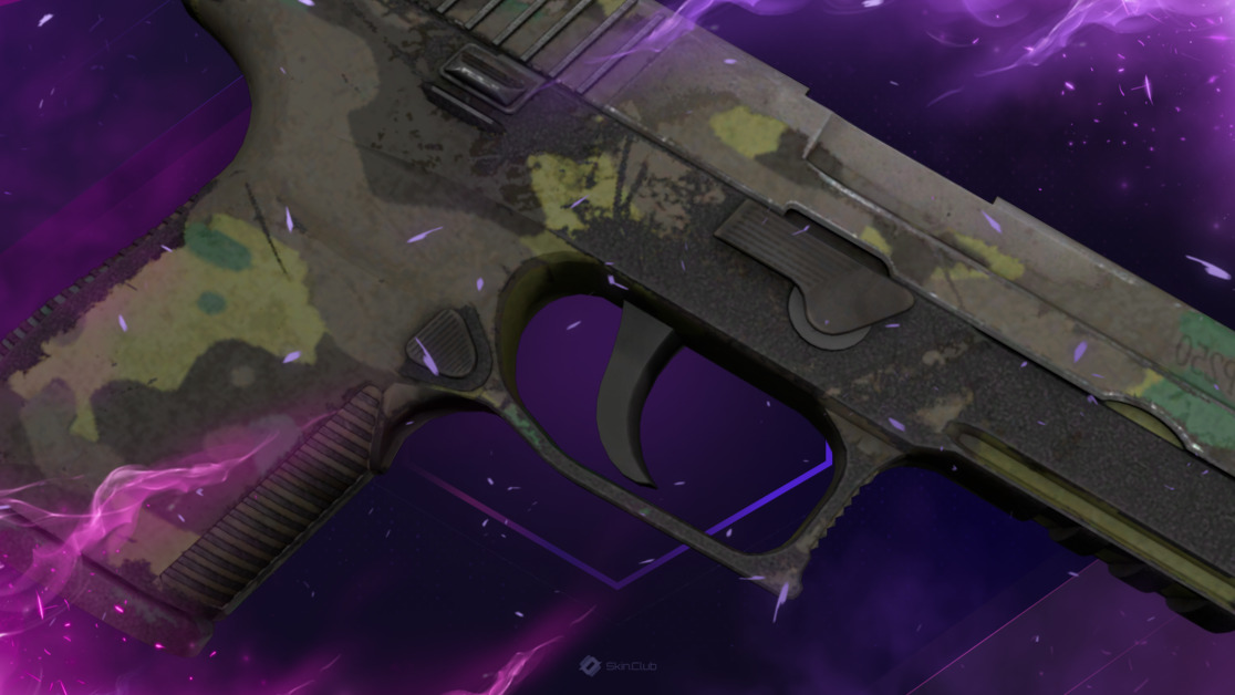 P250 | Boreal Forest (Battle-Scarred)