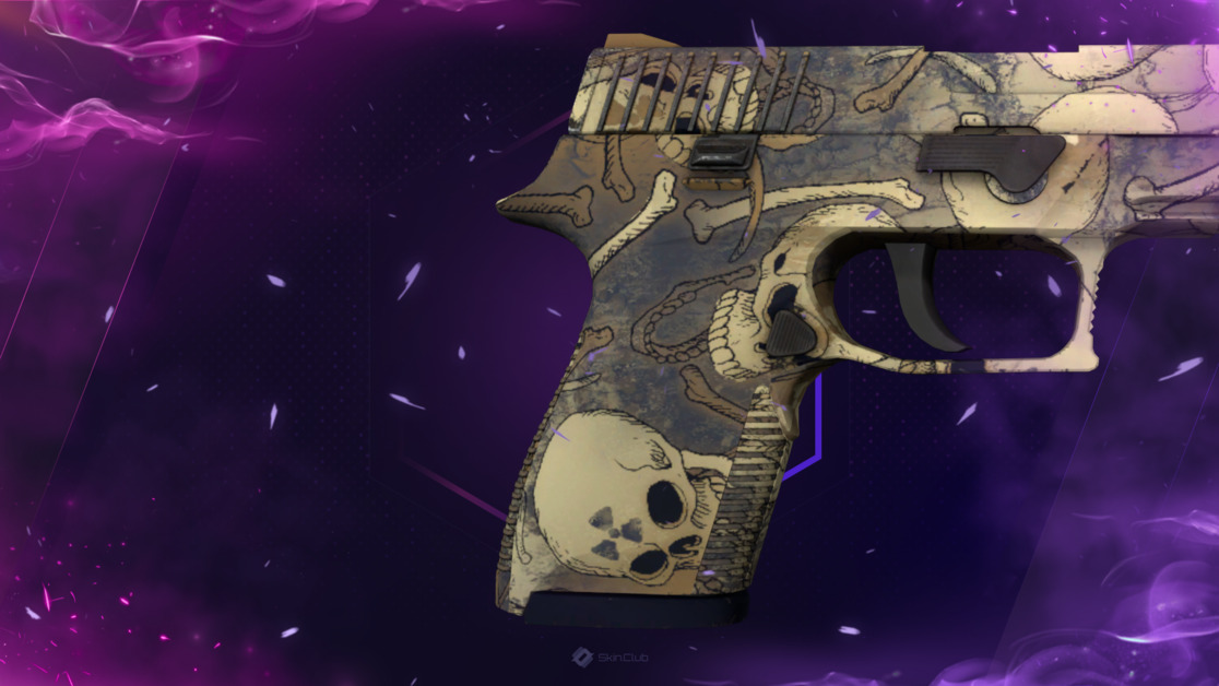 P250 | Contamination (Minimal Wear)