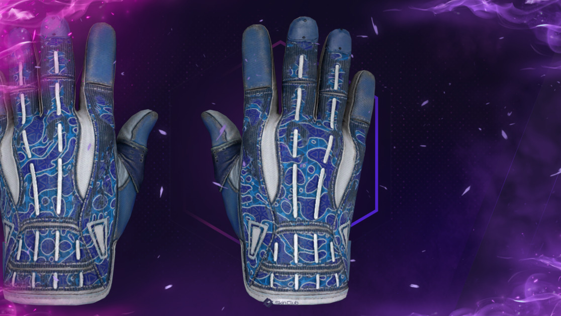 ★ Sport Gloves | Amphibious (Well-Worn)