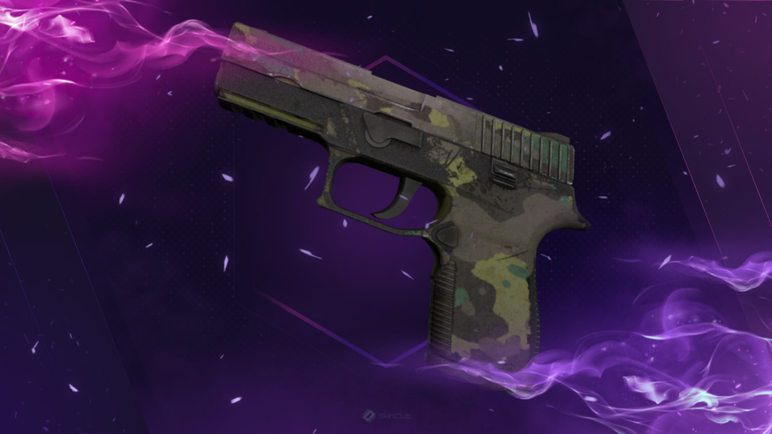 P250 | Boreal Forest (Battle-Scarred)