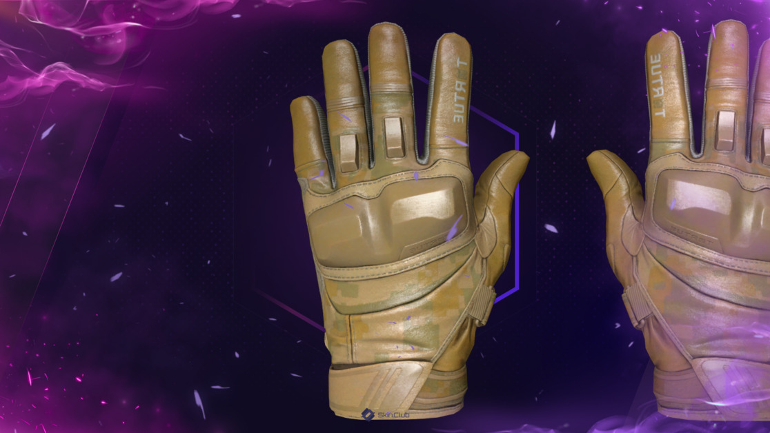★ Moto Gloves | Transport (Factory New)
