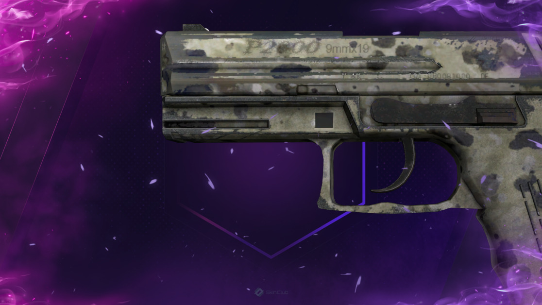 P2000 | Granite Marbleized (Well-Worn)