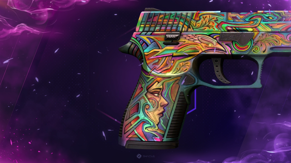 P250 | Visions (Well-Worn)