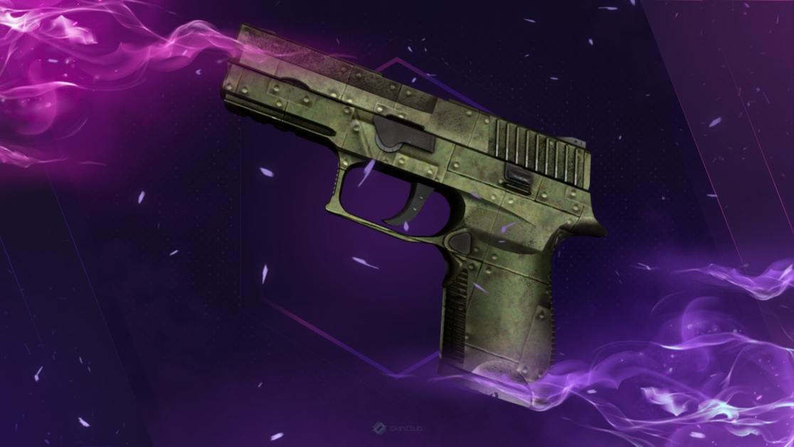 P250 | Iron Clad (Well-Worn)
