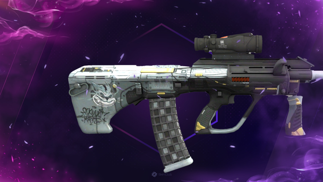 StatTrak™ AUG | Tom Cat (Minimal Wear)