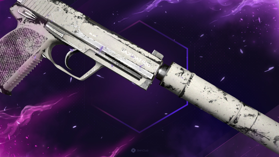 USP-S | Whiteout (Well-Worn)