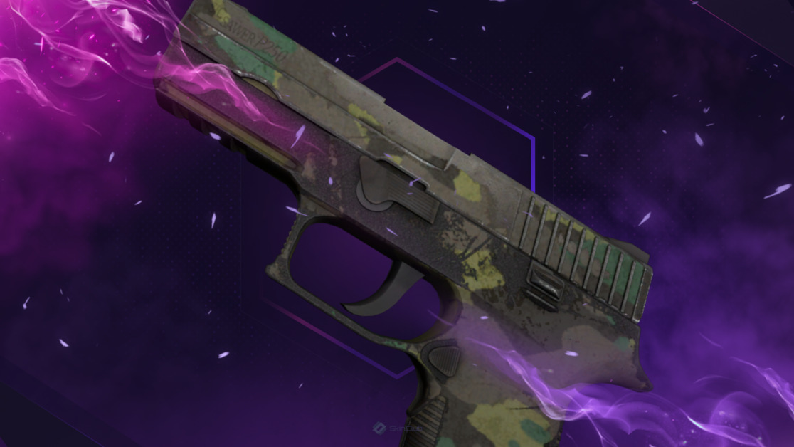 P250 | Boreal Forest (Battle-Scarred)