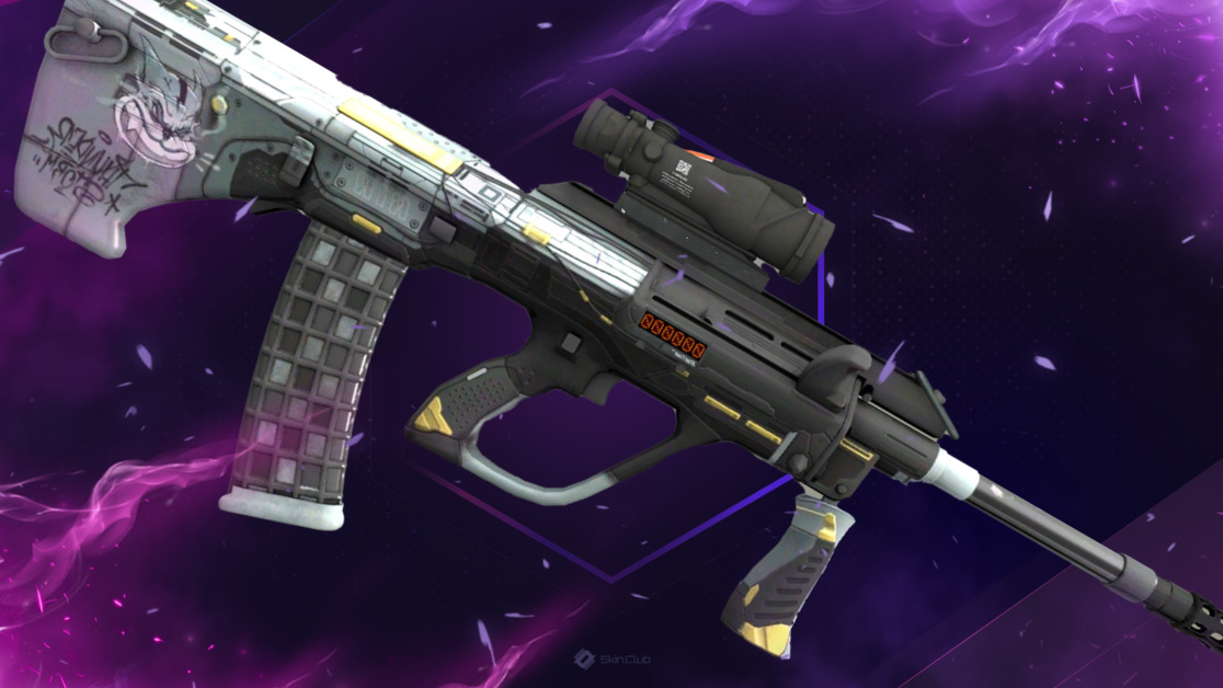 StatTrak™ AUG | Tom Cat (Minimal Wear)