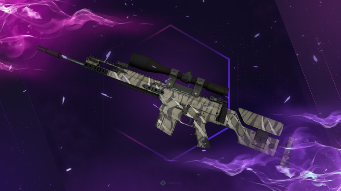 SCAR-20 | Torn (Minimal Wear)