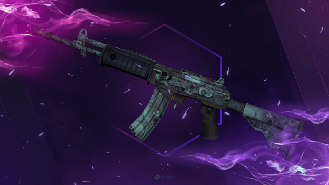 Galil AR | Cold Fusion (Field-Tested)