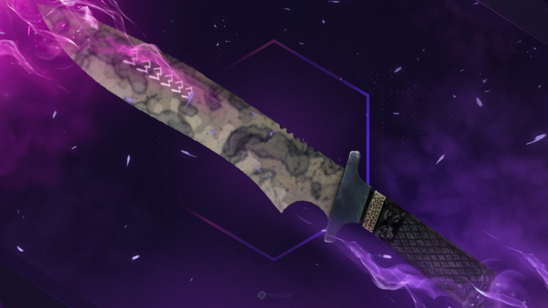 ★ StatTrak™ Classic Knife | Stained (Factory New)