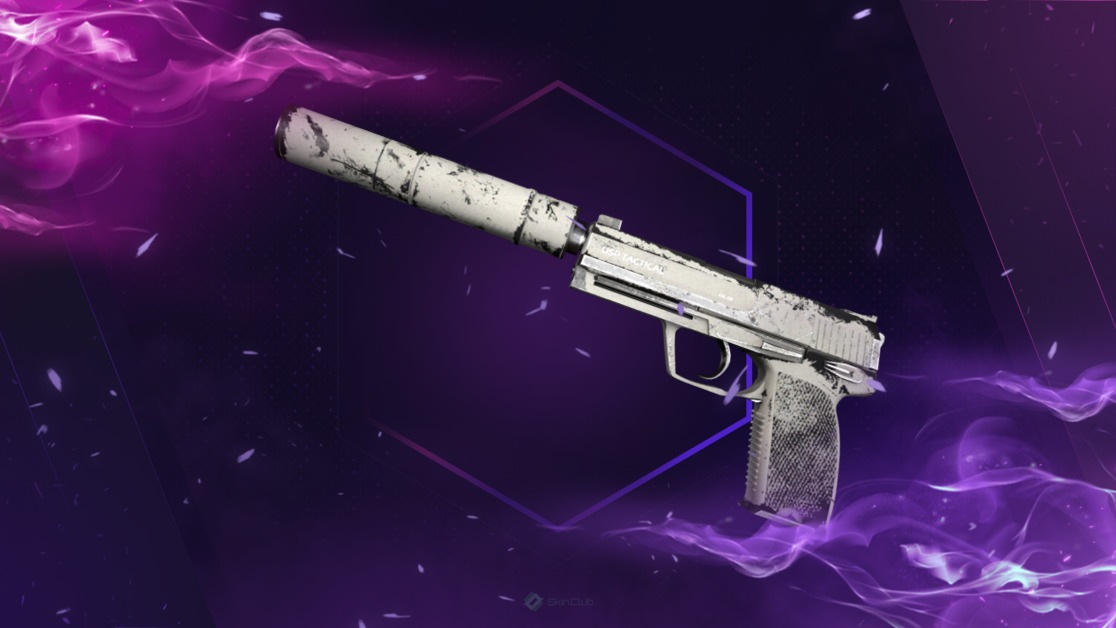 USP-S | Whiteout (Well-Worn)