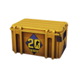 CS20 Case