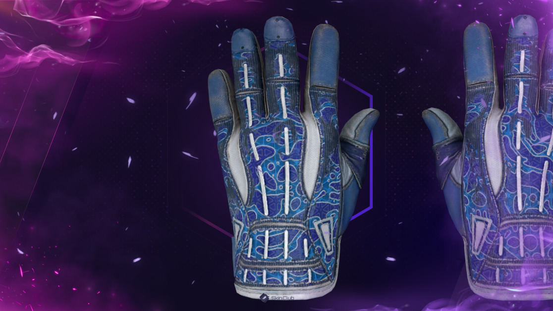 ★ Sport Gloves | Amphibious (Well-Worn)