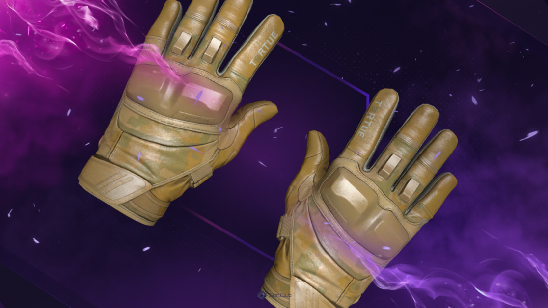 ★ Moto Gloves | Transport (Factory New)