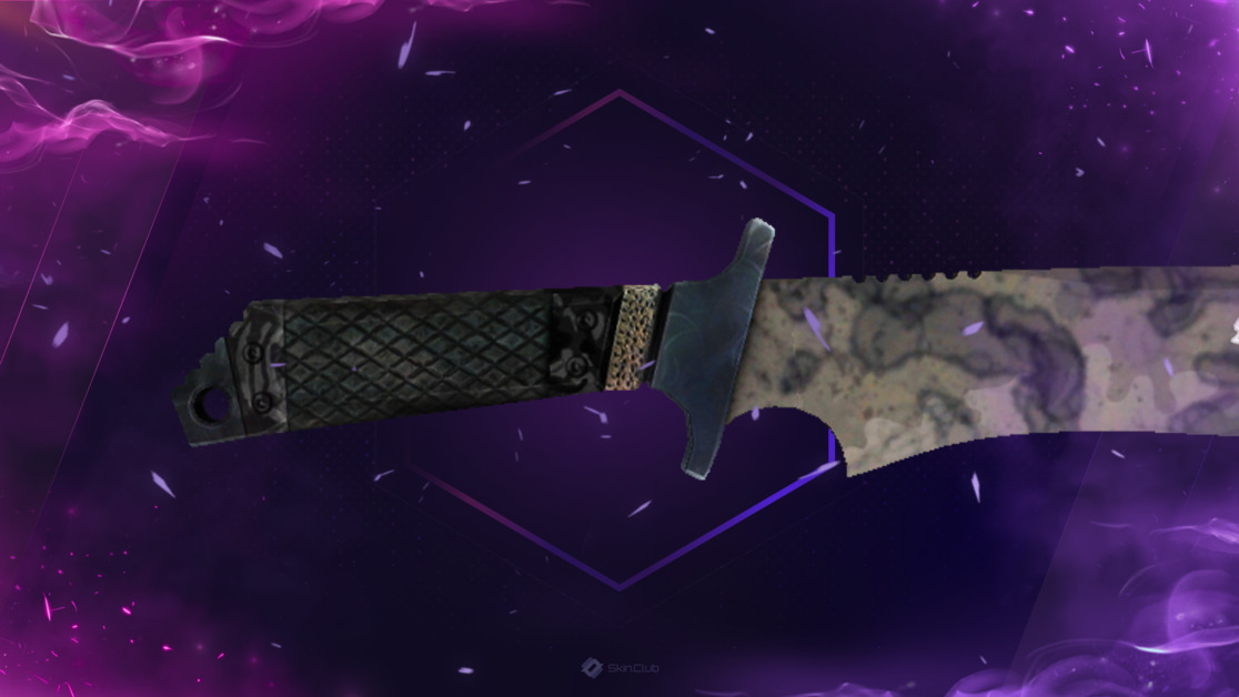 ★ StatTrak™ Classic Knife | Stained (Factory New)