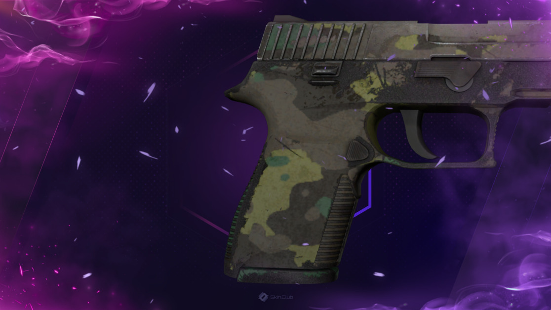 P250 | Boreal Forest (Battle-Scarred)