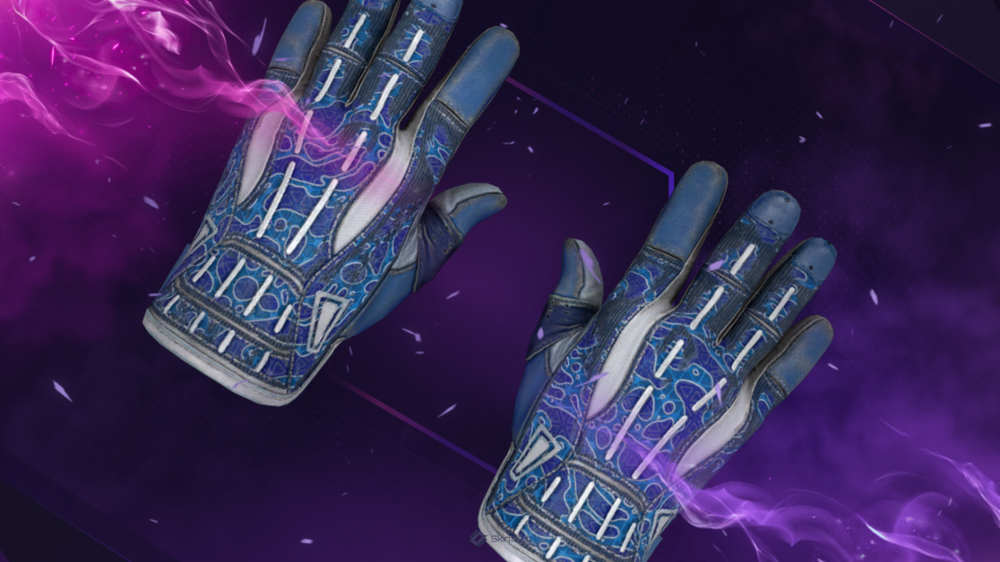 ★ Sport Gloves | Amphibious (Well-Worn)
