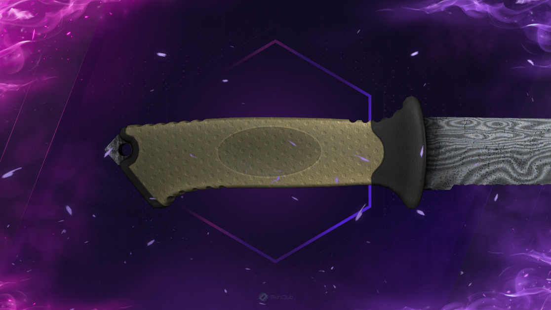 ★ Ursus Knife | Damascus Steel (Well-Worn)