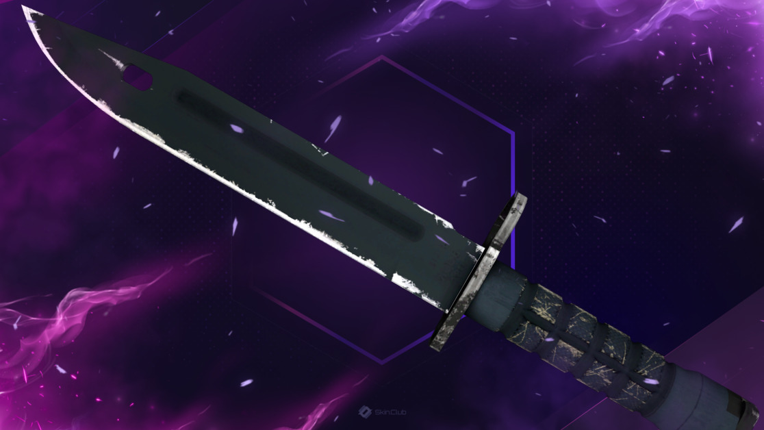 ★ Bayonet | Night (Field-Tested)