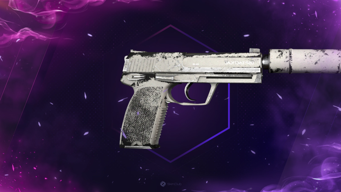 USP-S | Whiteout (Well-Worn)
