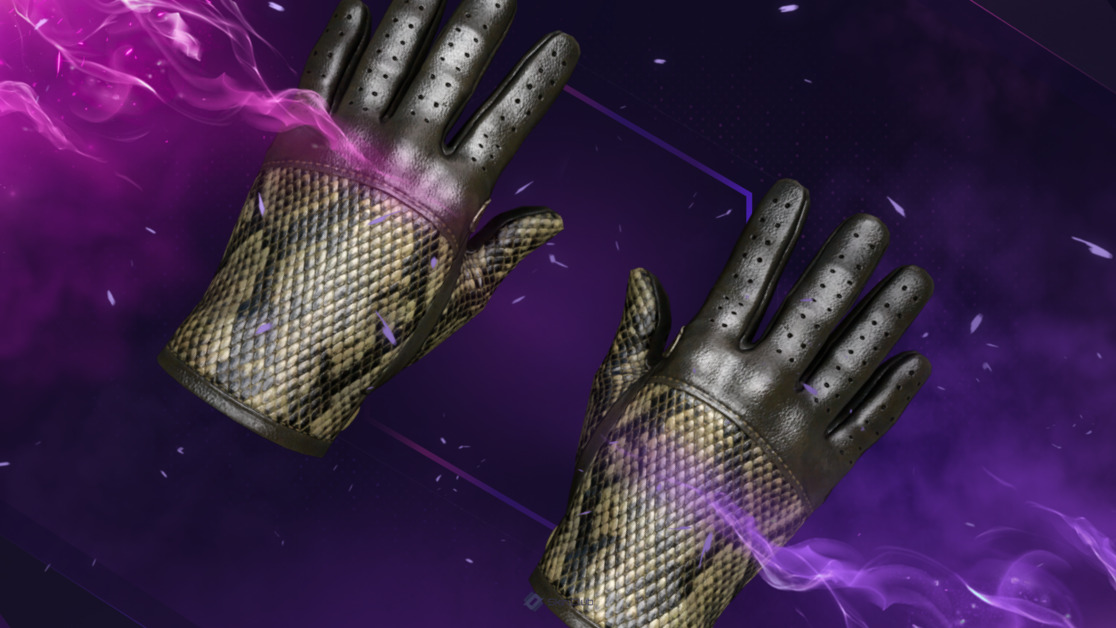 ★ Driver Gloves | Diamondback (Factory New)
