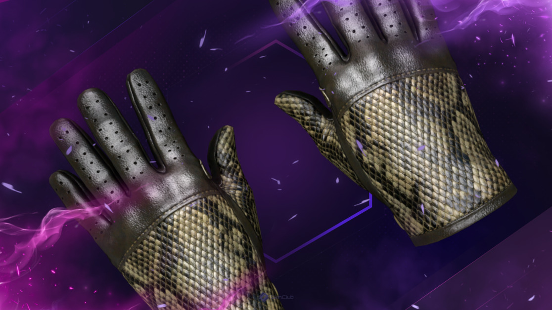 ★ Driver Gloves | Diamondback (Factory New)