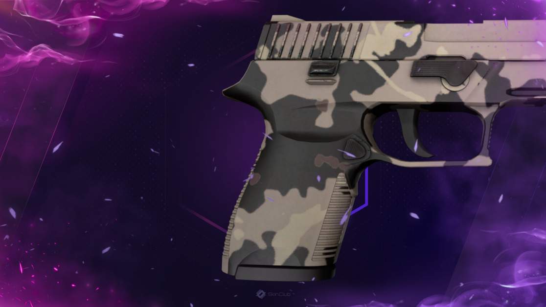 P250 | Black & Tan (Factory New)