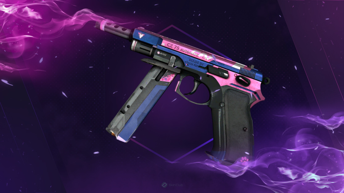 CZ75-Auto | Tacticat | Well-Worn