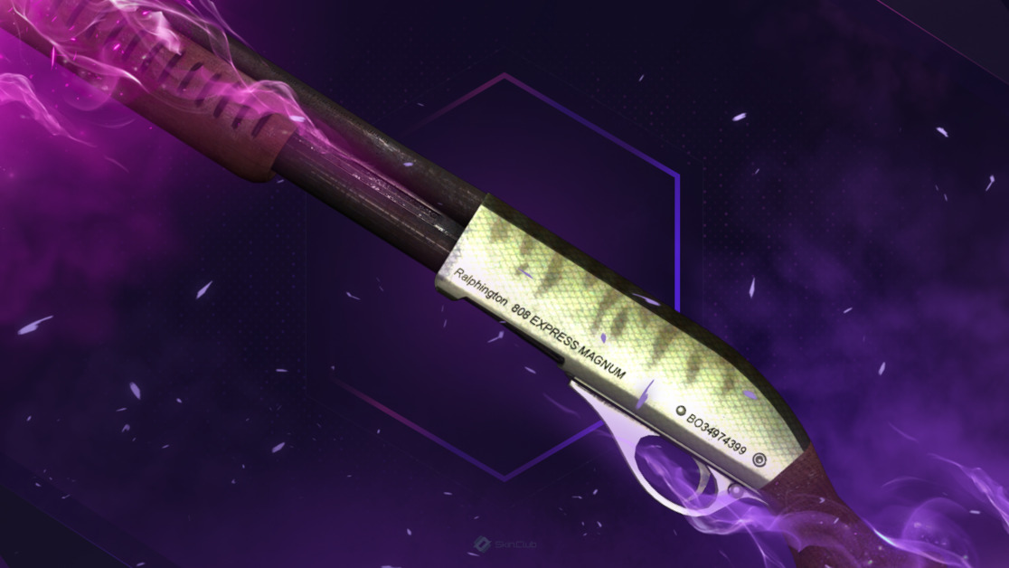 Sawed-Off | Zander (Well-Worn)
