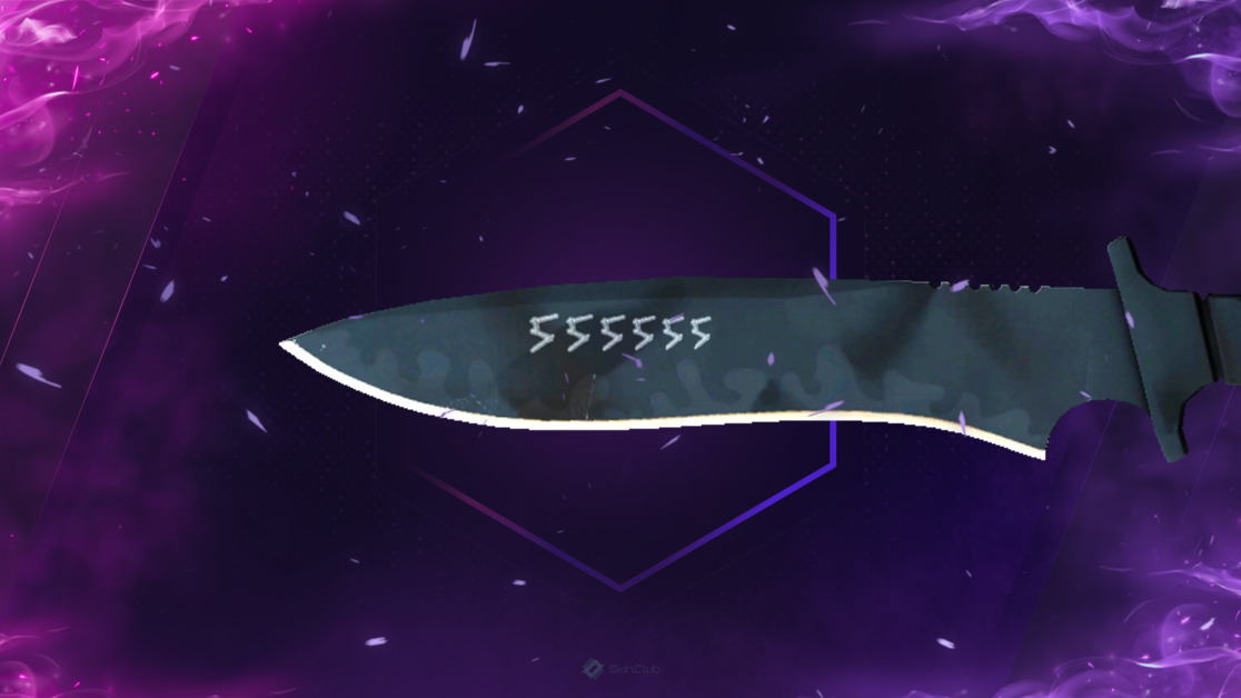 ★ StatTrak™ Classic Knife | Night Stripe (Factory New)