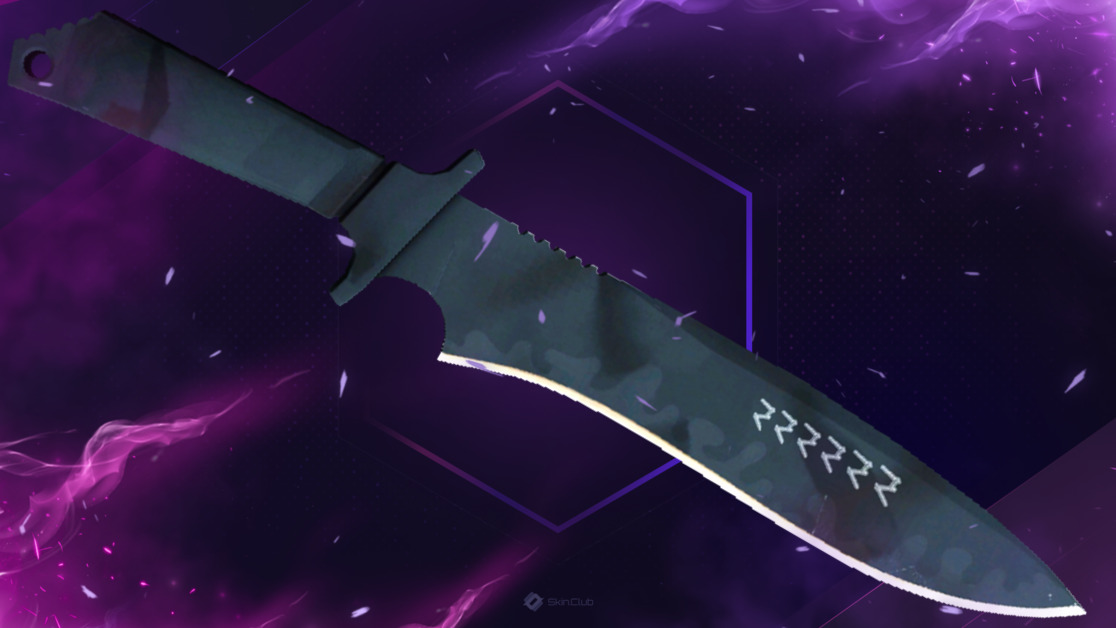 ★ StatTrak™ Classic Knife | Night Stripe (Factory New)
