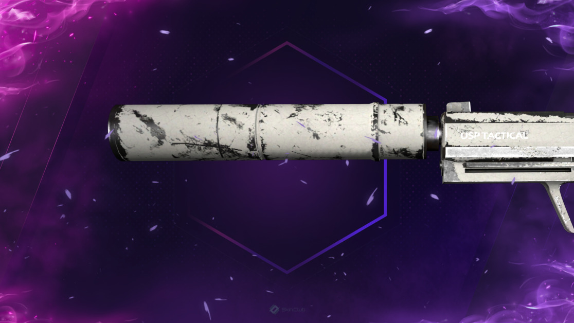 USP-S | Whiteout (Well-Worn)