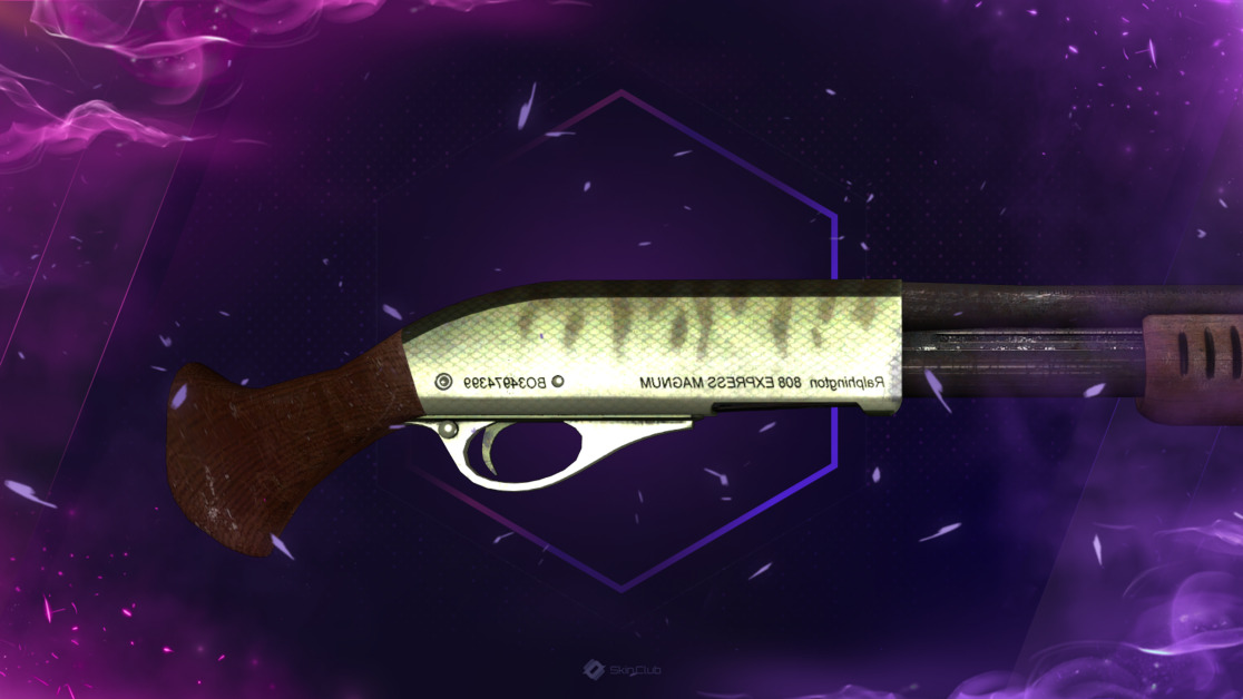 Sawed-Off | Zander (Well-Worn)